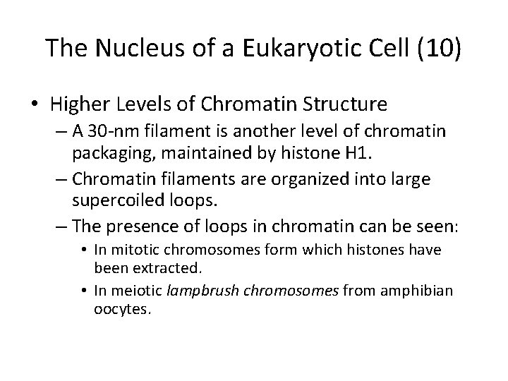 The Nucleus of a Eukaryotic Cell (10) • Higher Levels of Chromatin Structure –