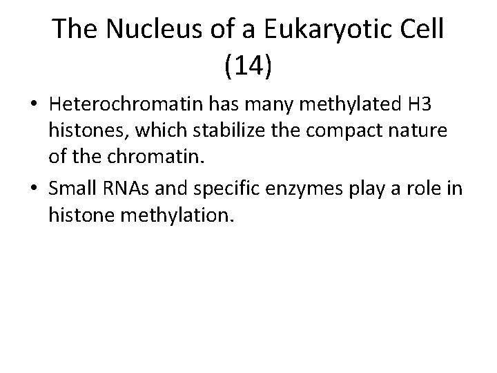 The Nucleus of a Eukaryotic Cell (14) • Heterochromatin has many methylated H 3