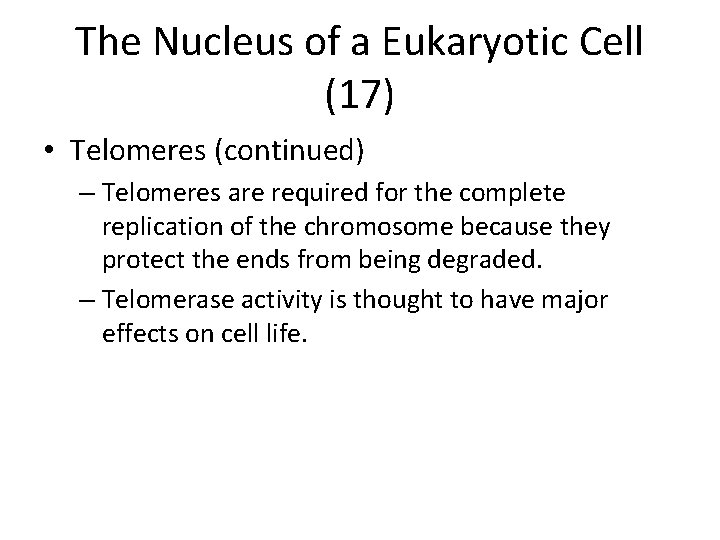 The Nucleus of a Eukaryotic Cell (17) • Telomeres (continued) – Telomeres are required