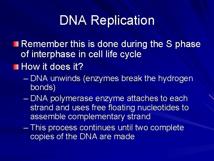 DNA Replication Remember this is done during the S phase of interphase in cell