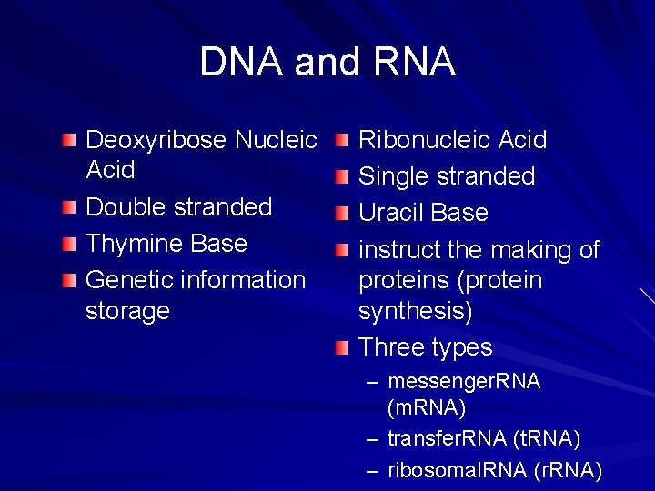 DNA and RNA Deoxyribose Nucleic Acid Double stranded Thymine Base Genetic information storage Ribonucleic