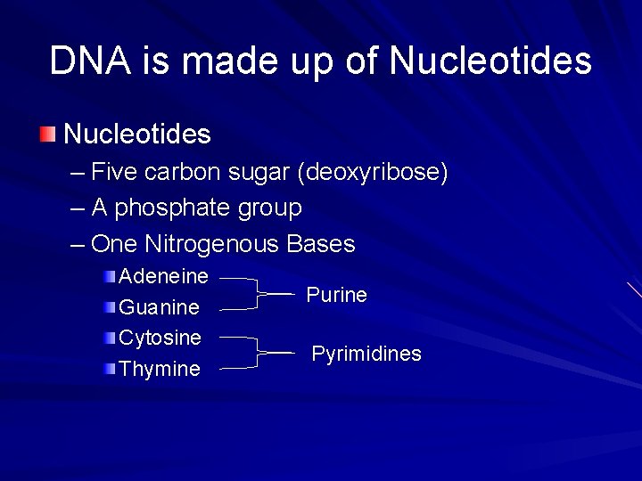 DNA is made up of Nucleotides – Five carbon sugar (deoxyribose) – A phosphate
