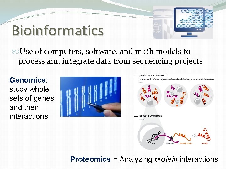 Bioinformatics Use of computers, software, and math models to process and integrate data from