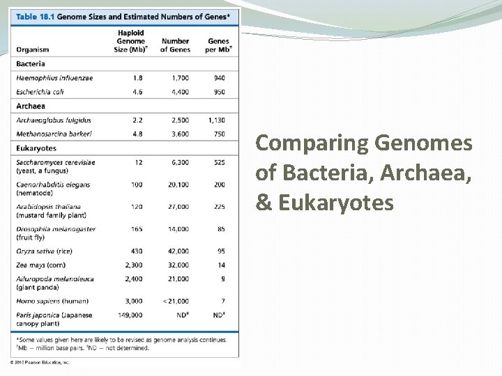 Comparing Genomes of Bacteria, Archaea, & Eukaryotes 