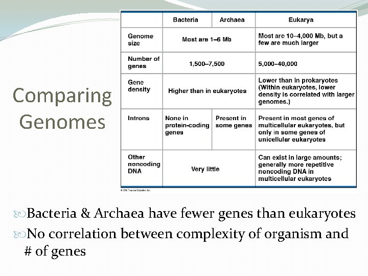 Comparing Genomes Bacteria & Archaea have fewer genes than eukaryotes No correlation between complexity