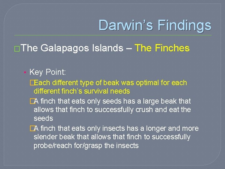 Darwin’s Findings �The Galapagos Islands – The Finches • Key Point: �Each different type
