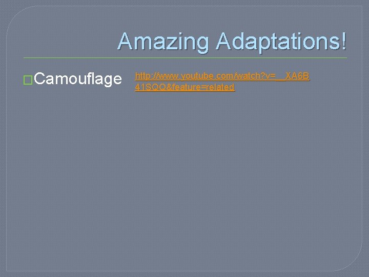 Amazing Adaptations! �Camouflage http: //www. youtube. com/watch? v=__XA 6 B 41 SQQ&feature=related 