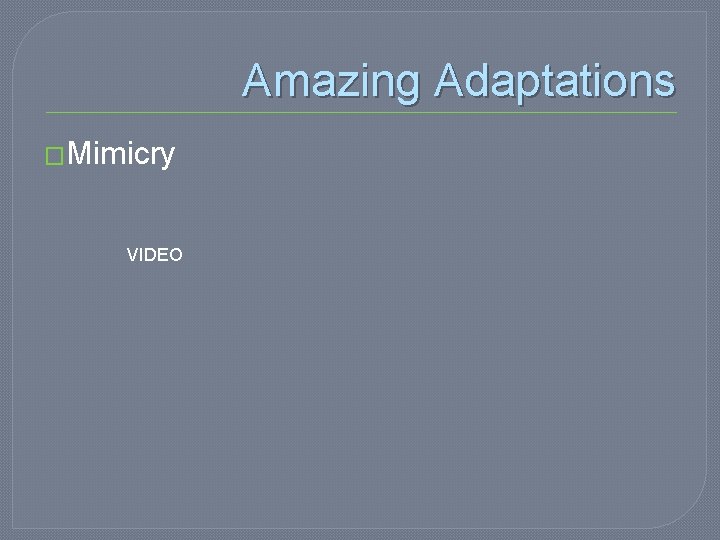Amazing Adaptations �Mimicry VIDEO 