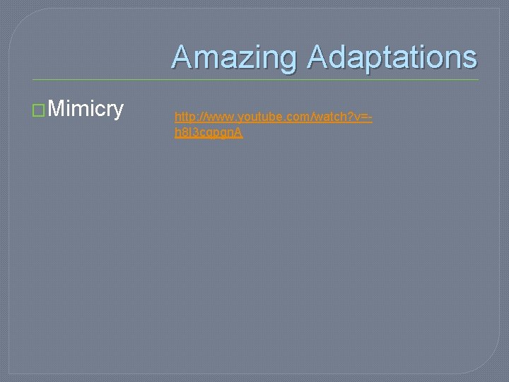 Amazing Adaptations �Mimicry http: //www. youtube. com/watch? v=h 8 I 3 cqpgn. A 