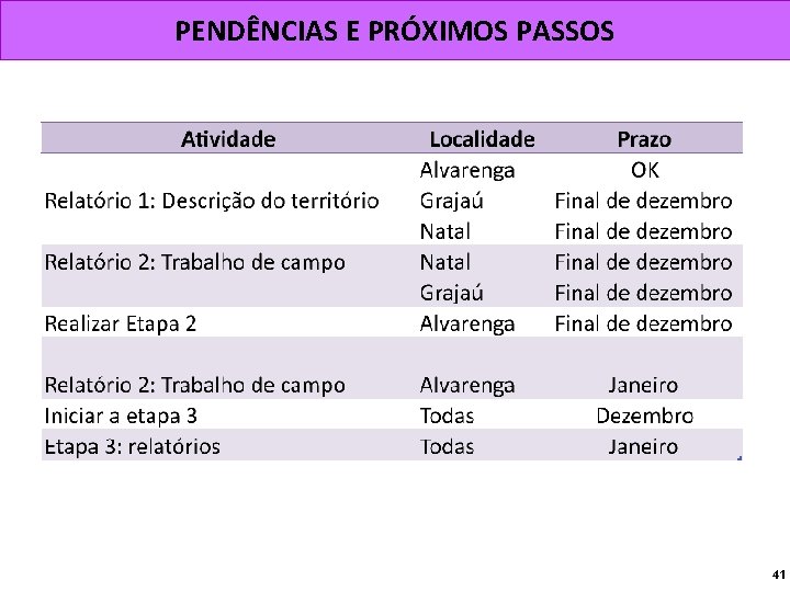 PENDÊNCIAS E PRÓXIMOS PASSOS 41 