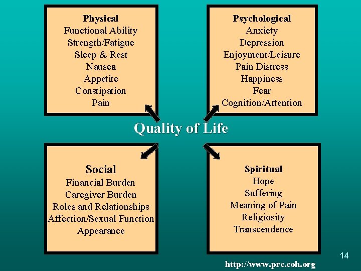 Physical Functional Ability Strength/Fatigue Sleep & Rest Nausea Appetite Constipation Pain Psychological Anxiety Depression