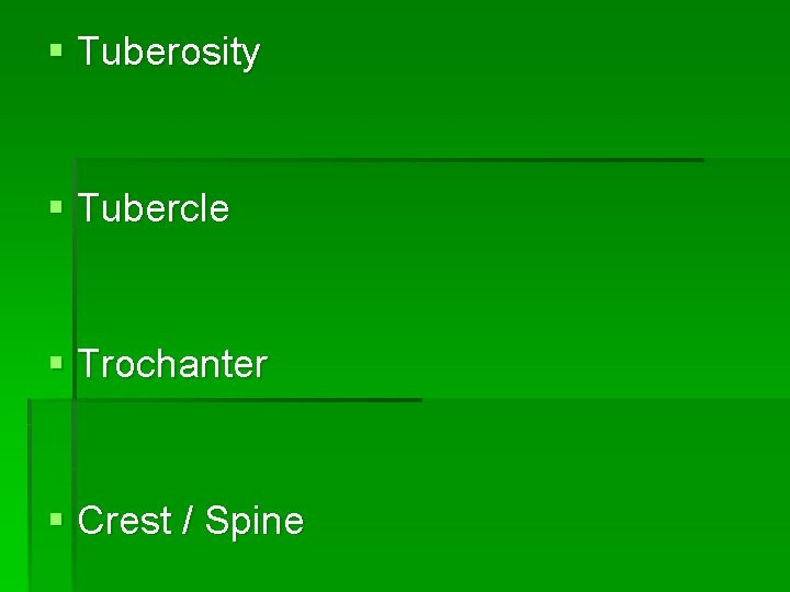 § Tuberosity § Tubercle § Trochanter § Crest / Spine 