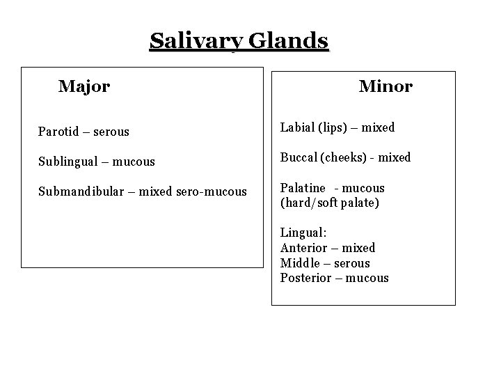 Salivary Glands Major Minor Parotid – serous Labial (lips) – mixed Sublingual – mucous
