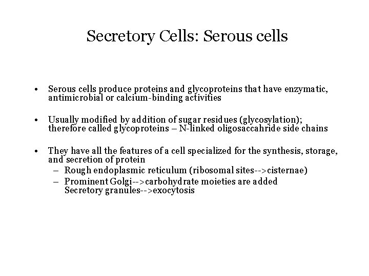 Secretory Cells: Serous cells • Serous cells produce proteins and glycoproteins that have enzymatic,