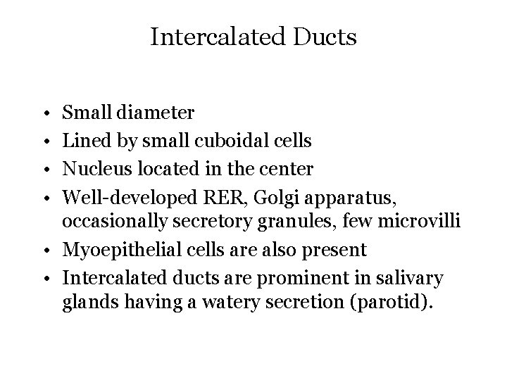 Intercalated Ducts • • Small diameter Lined by small cuboidal cells Nucleus located in