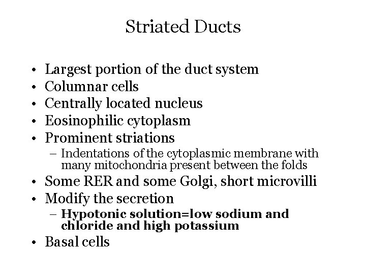 Striated Ducts • • • Largest portion of the duct system Columnar cells Centrally