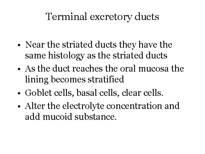 Terminal excretory ducts • Near the striated ducts they have the same histology as