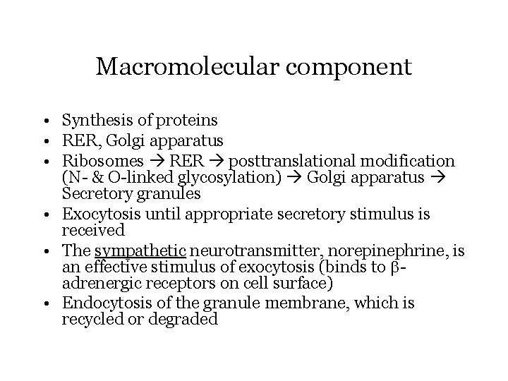 Macromolecular component • Synthesis of proteins • RER, Golgi apparatus • Ribosomes RER posttranslational