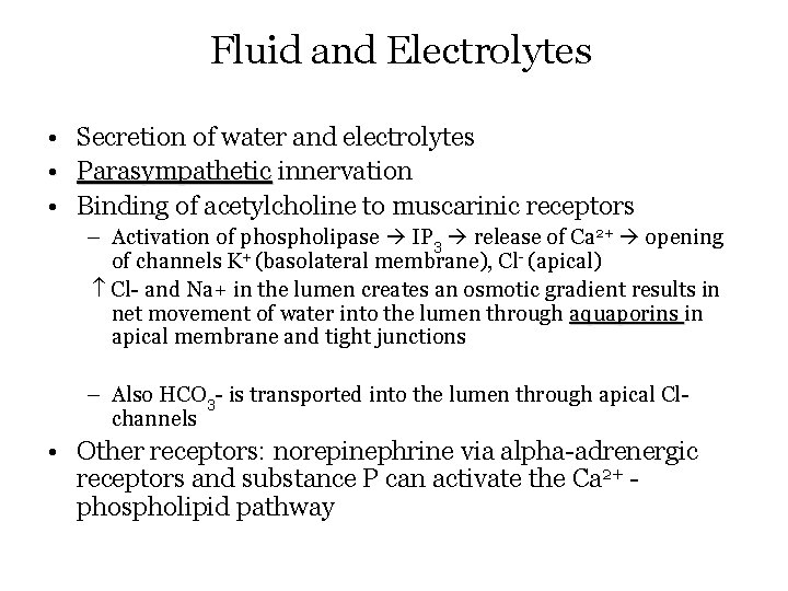 Fluid and Electrolytes • Secretion of water and electrolytes • Parasympathetic innervation • Binding