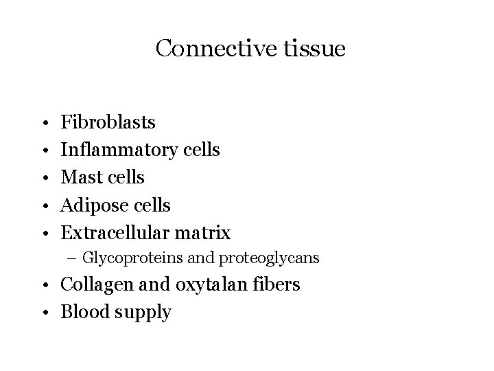 Connective tissue • • • Fibroblasts Inflammatory cells Mast cells Adipose cells Extracellular matrix