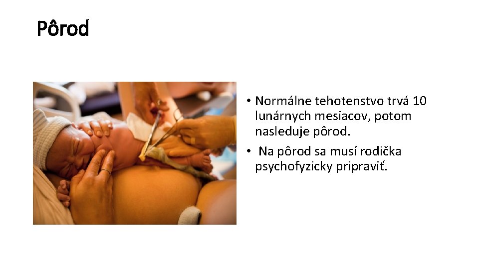 Pôrod • Normálne tehotenstvo trvá 10 lunárnych mesiacov, potom nasleduje pôrod. • Na pôrod