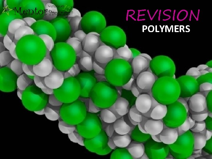 REVISION POLYMERS 