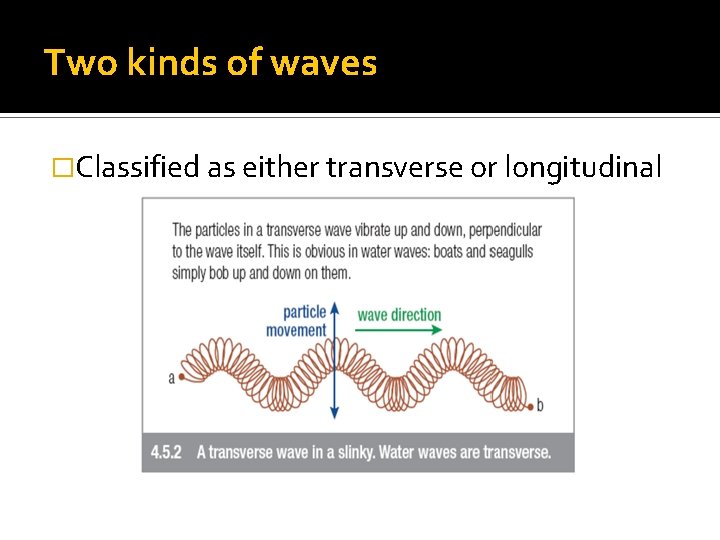 Two kinds of waves �Classified as either transverse or longitudinal 