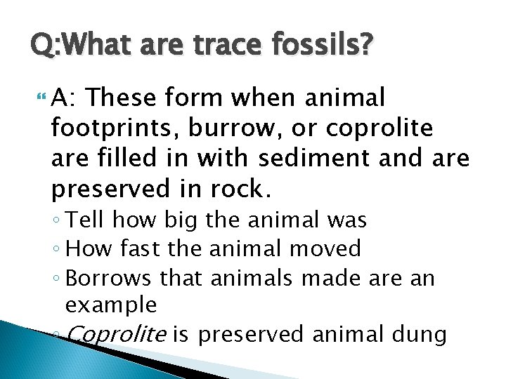 Q: What are trace fossils? A: These form when animal footprints, burrow, or coprolite