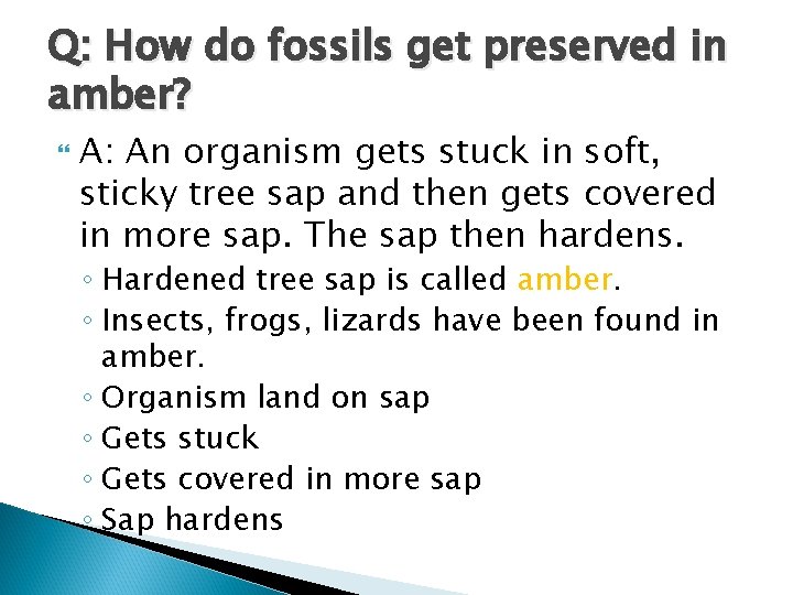 Q: How do fossils get preserved in amber? A: An organism gets stuck in