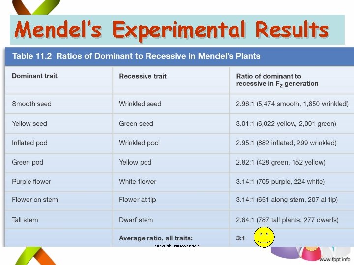 Mendel’s Experimental Results copyright cmassengale 10 