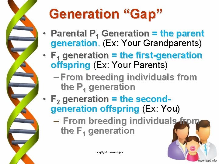 Generation “Gap” • Parental P 1 Generation = the parent generation. (Ex: Your Grandparents)