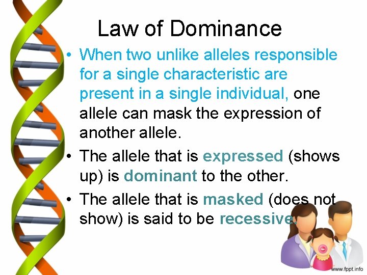 Law of Dominance • When two unlike alleles responsible for a single characteristic are