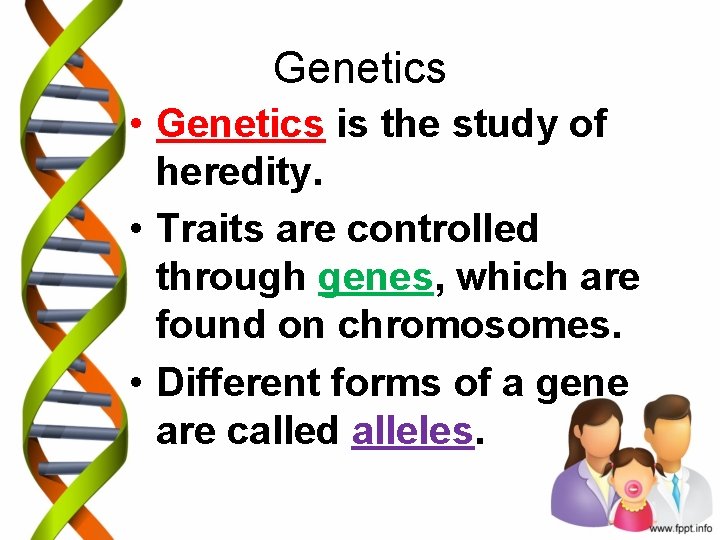 Genetics • Genetics is the study of heredity. • Traits are controlled through genes,