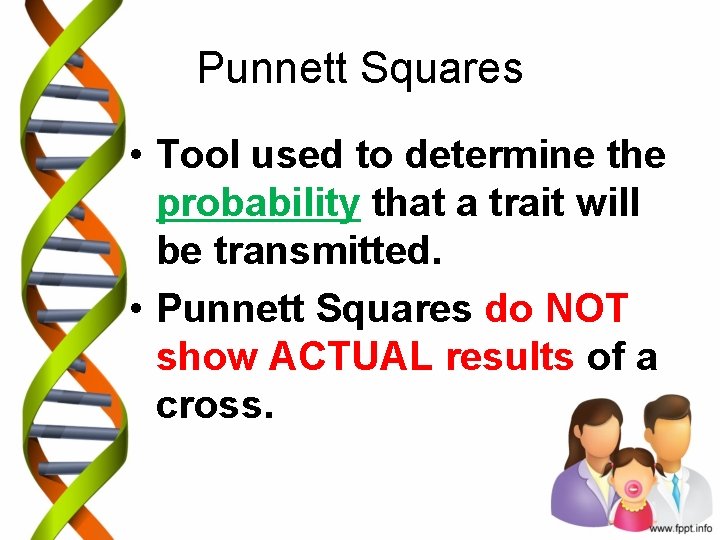 Punnett Squares • Tool used to determine the probability that a trait will be