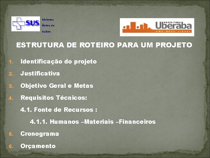 Sistema Único de Saúde ESTRUTURA DE ROTEIRO PARA UM PROJETO 1. Identificação do projeto