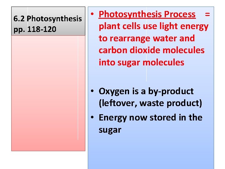  • Photosynthesis Process = 6. 2 Photosynthesis plant cells use light energy pp.