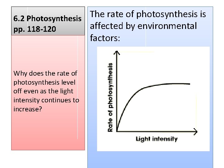 The rate of photosynthesis is 6. 2 Photosynthesis affected by environmental pp. 118 -120