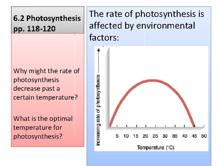 The rate of photosynthesis is 6. 2 Photosynthesis affected by environmental pp. 118 -120