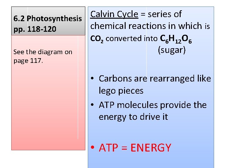 Calvin Cycle = series of 6. 2 Photosynthesis chemical reactions in which is pp.