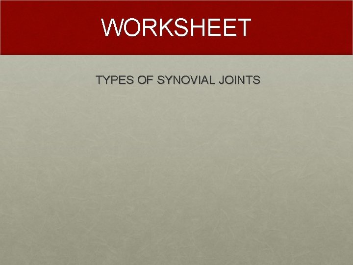 WORKSHEET TYPES OF SYNOVIAL JOINTS 
