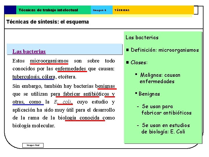 Técnicas de trabajo intelectual Imagen 6 TÉCNICAS Técnicas de síntesis: el esquema El esquema