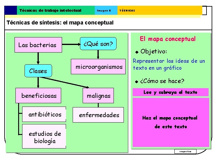 Técnicas de trabajo intelectual Imagen 8 TÉCNICAS Técnicas de síntesis: el mapa conceptual Las