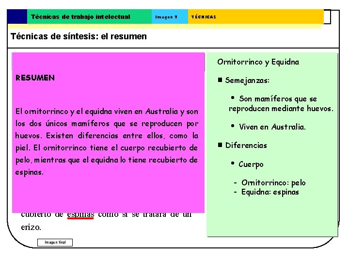 Técnicas de trabajo intelectual Imagen 9 TÉCNICAS Técnicas de síntesis: el resumen El resumen