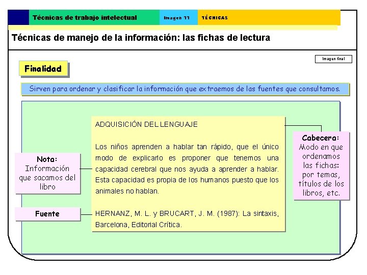 Técnicas de trabajo intelectual Imagen 11 TÉCNICAS Técnicas de manejo de la información: las