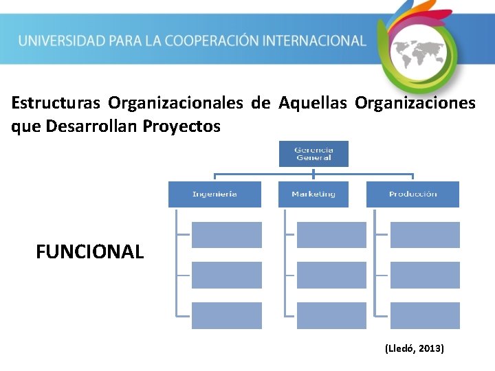 Estructuras Organizacionales de Aquellas Organizaciones que Desarrollan Proyectos FUNCIONAL (Lledó, 2013) 