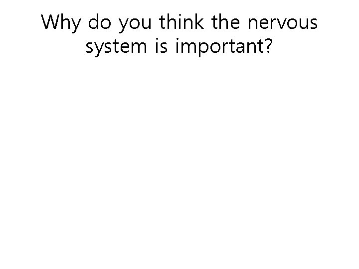 Why do you think the nervous system is important? 