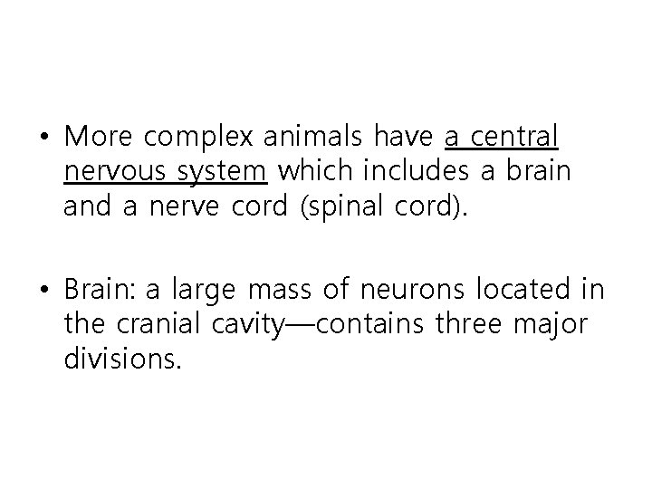  • More complex animals have a central nervous system which includes a brain