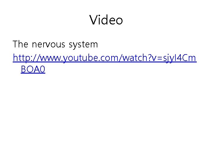 Video The nervous system http: //www. youtube. com/watch? v=sjy. I 4 Cm BOA 0