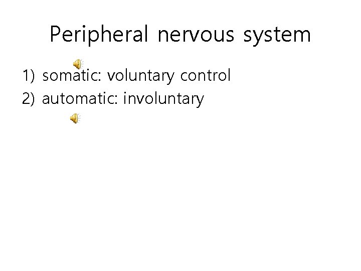 Peripheral nervous system 1) somatic: voluntary control 2) automatic: involuntary 