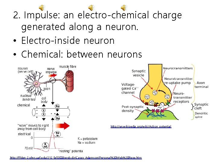 2. Impulse: an electro-chemical charge generated along a neuron. • Electro-inside neuron • Chemical: